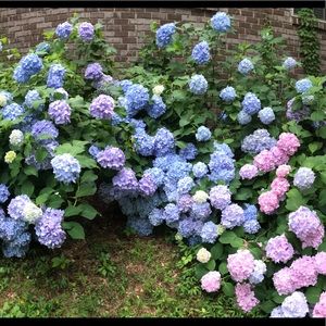 Meet your Posher, Erinn